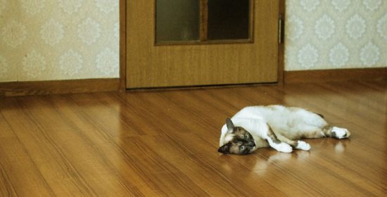 お部屋の空気、室内塗装でキレイにできます!