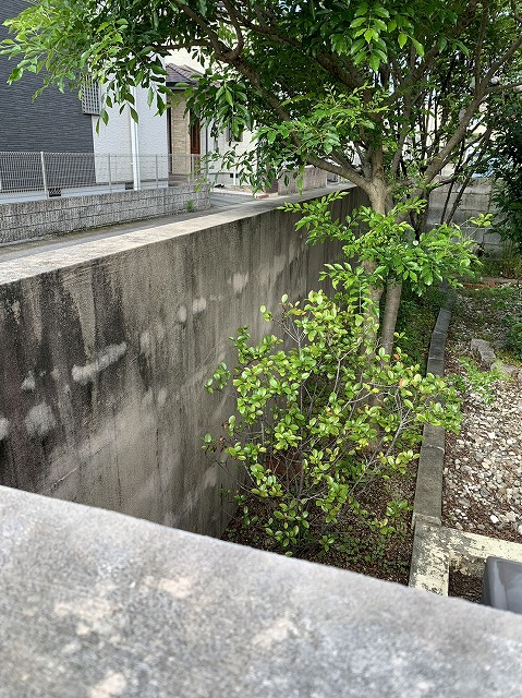 熊本市南区で外壁スキン吹きつけ塗装のご依頼があった住宅の塀をおしゃれにしたいのと玄関入口の土間をサービスで塗りました。