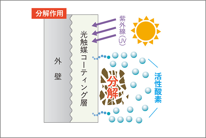 熊本県　防カビ・抗菌機能最強の光触媒クリスタルシーズンのご紹介│今なら40％OFFキャンペーン実施中！