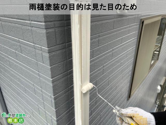 目的は見た目のため