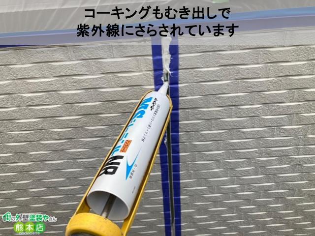 実は、新築時の外壁って塗装されていないんです