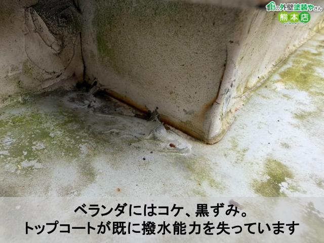 ベランダにはコケ、黒ずみ。 トップコートが既に撥水能力を失っています