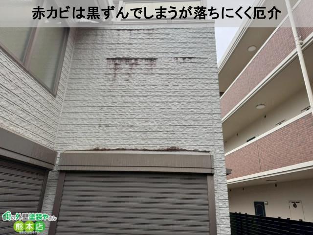 赤カビは黒ずんでしまうが落ちにくく厄介