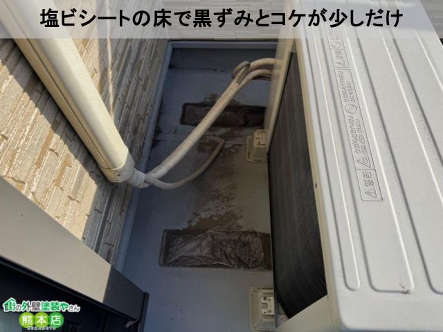 コケ黒ずみが少し