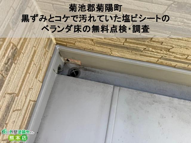 【菊池郡菊陽町】黒ずみとコケで汚れていた塩ビシートのベランダ床の無料点検・調査、トップコートの塗り替えが大事