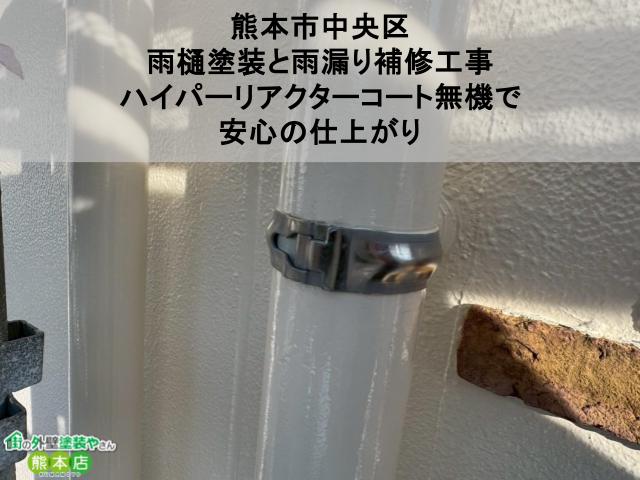 熊本市中央区 雨樋塗装と雨漏り補修工事 ハイパーリアクターコート無機で 安心の仕上がり