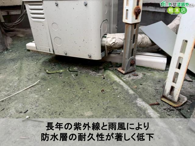 長年の紫外線と雨風により 防水層の耐久性が著しく低下