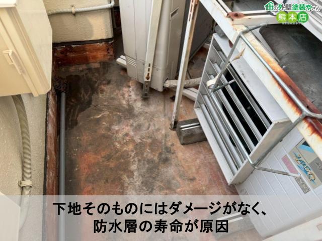 下地そのものにはダメージがなく、 防水層の寿命が原因