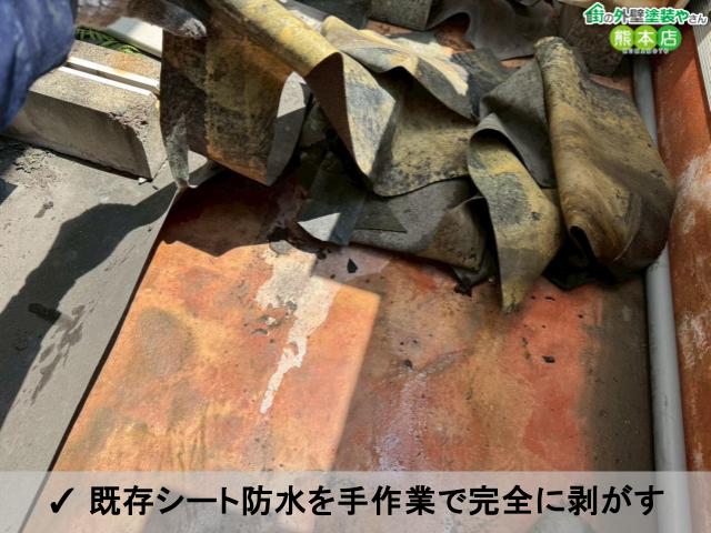 ✓ 既存シート防水を手作業で完全に剥がす