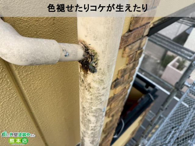 色褪せたりコケが生えたり