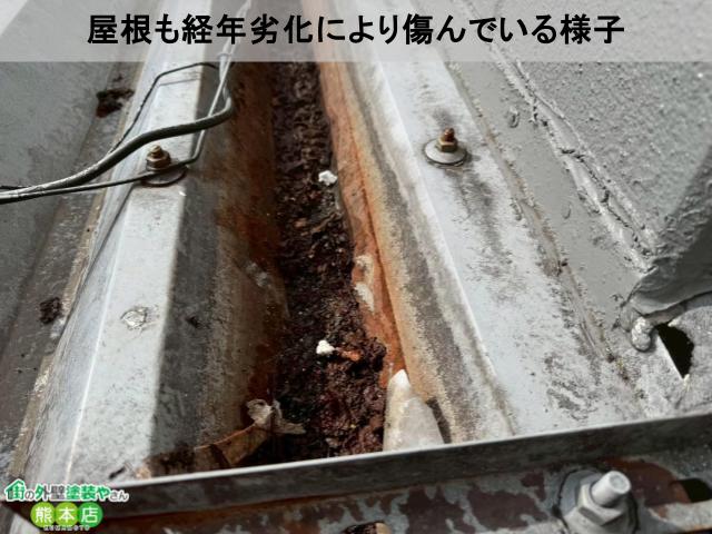 熊本市中央区店舗屋根傷み