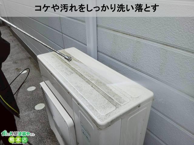 コケや汚れをしっかり洗い落とす