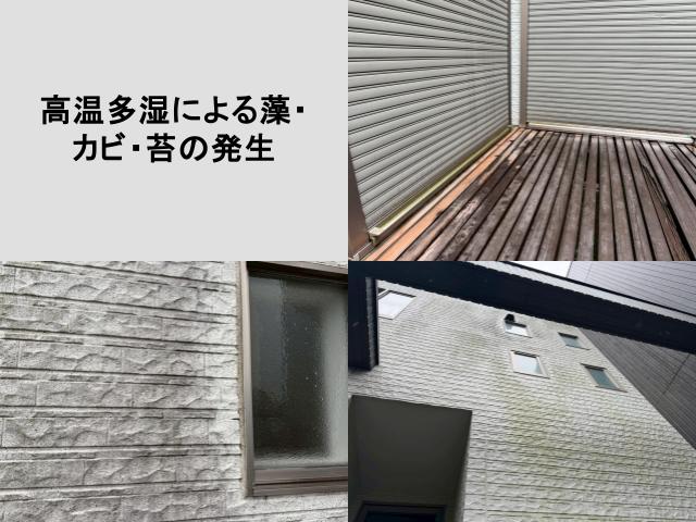 熊本県での高温多湿による藻・カビ・苔の発生