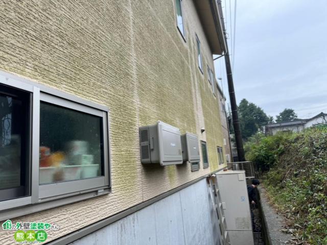 外壁コケ写真