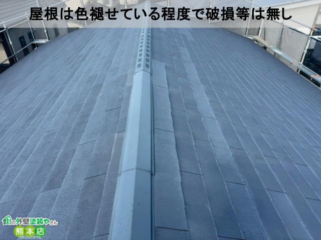 屋根は色褪せている程度で破損等は無し