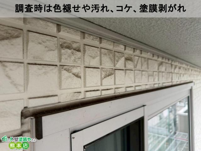 調査時は色褪せや汚れ、コケ、塗膜剥がれ