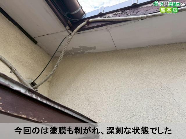 今回のは塗膜も剥がれ、深刻な状態でした