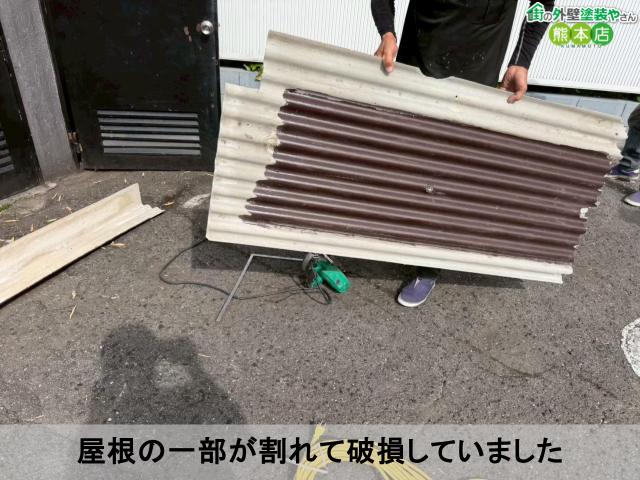 屋根の一部が割れて破損していました屋根の一部が割れて破損していました