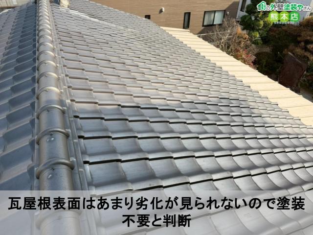 瓦屋根表面はあまり劣化が見られないので塗装不要と判断
