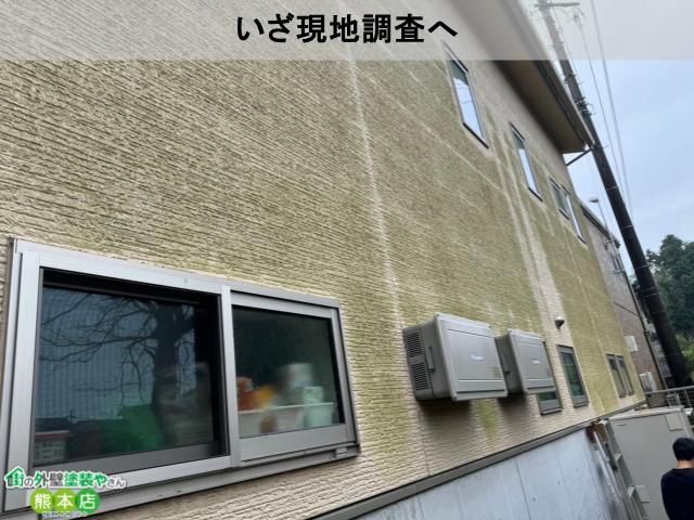 現地調査