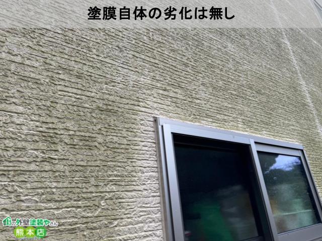 塗膜自体の劣化は無し