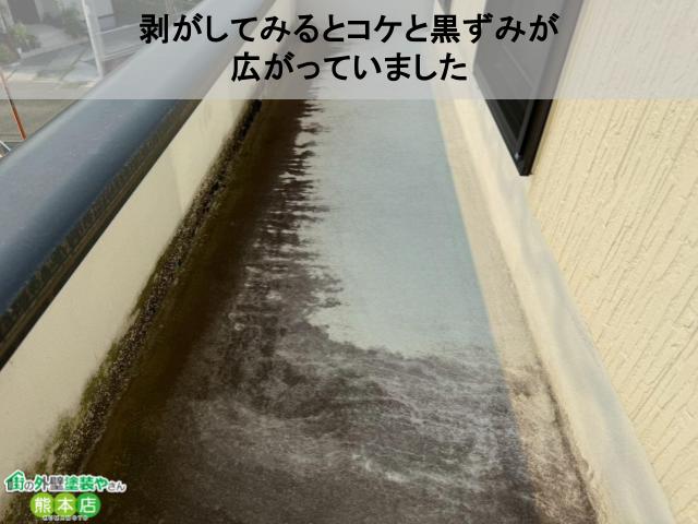 剥がしてみるとコケと黒ずみが 広がっていました