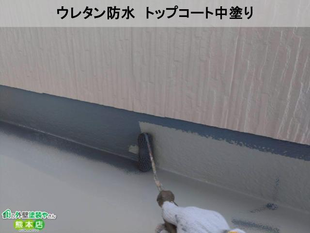 ウレタン防水　トップコート中塗り