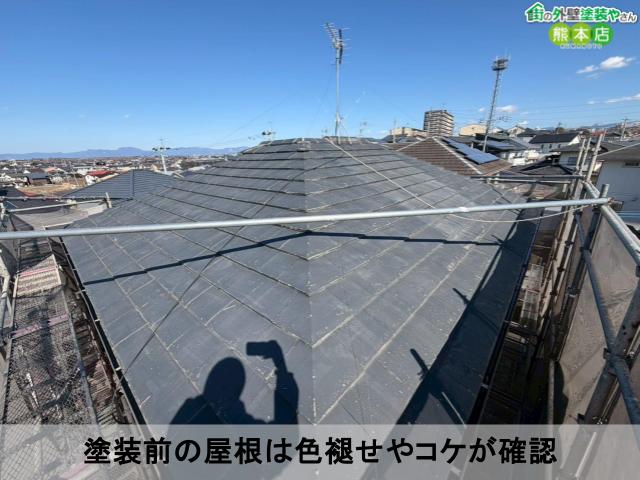 塗装前の屋根は色褪せやコケが確認