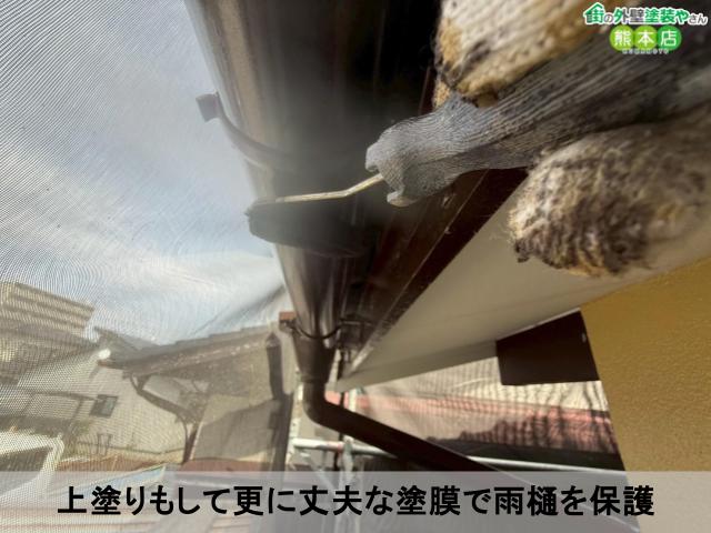 上塗りもして更に丈夫な塗膜で雨樋を保護