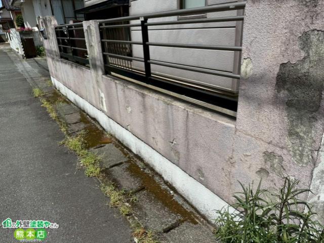 熊本市南区塀下部コケ写真