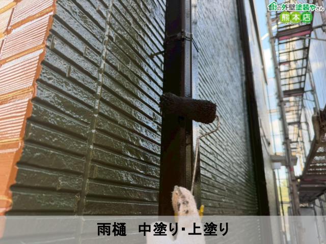 雨樋　中塗り・上塗り