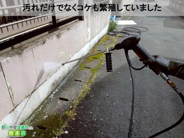 熊本市南区汚れだけでなくコケも繁殖