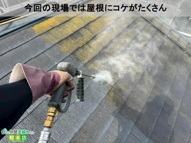 熊本市南区屋根高圧洗浄コケ
