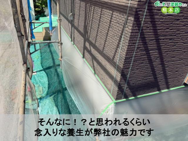 そんなに！？と思われるくらい 念入りな養生が弊社の魅力です