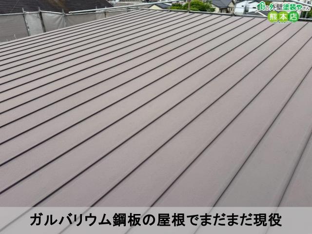 ガルバリウム鋼板の屋根でまだまだ現役