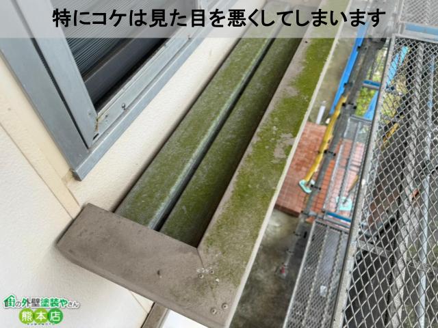特にコケは見た目を悪くしてしまいます