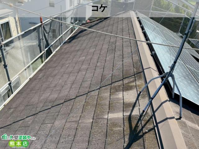 熊本市北区スレート屋根コケ