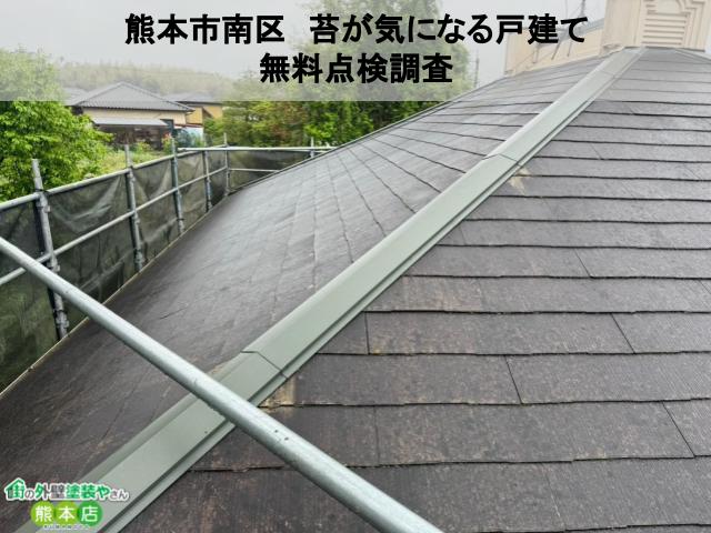 熊本市南区　コケが気になる戸建ての無料点検・調査の様子