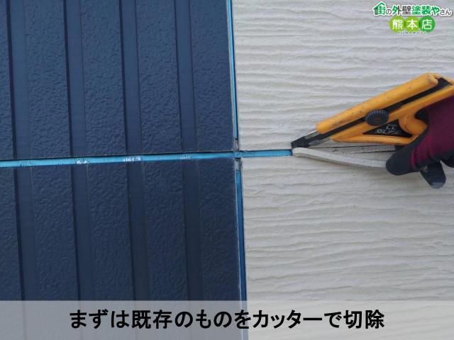 まずは既存のものをカッターで切除