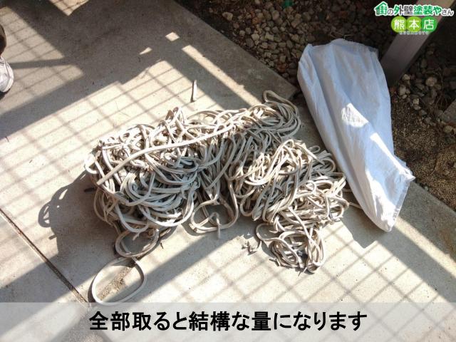 全部取ると結構な量になります