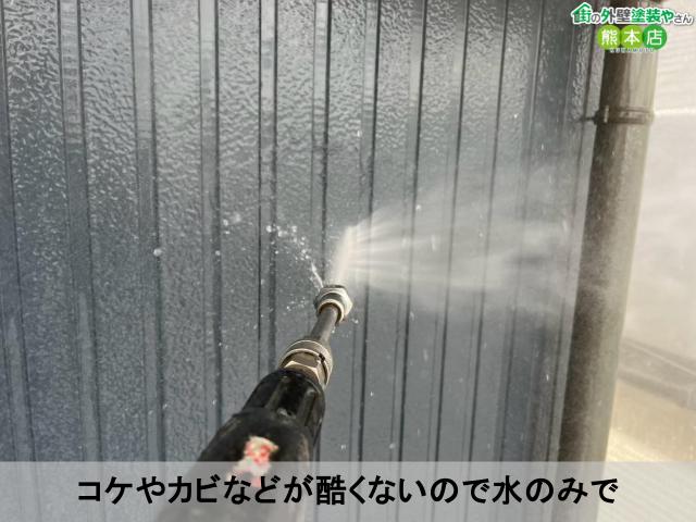 コケやカビなどが酷くないので水のみで