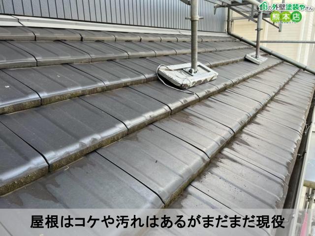屋根はコケや汚れはあるがまだまだ現役