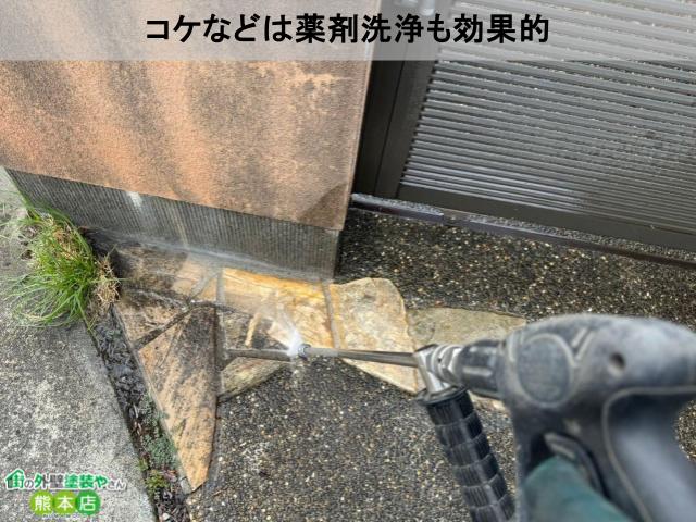 コケ繁殖力