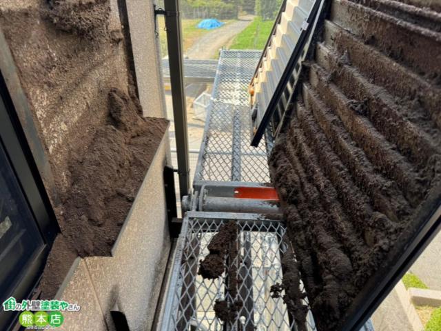 玉名市積水ハウスアパート戸袋コウモリの巣