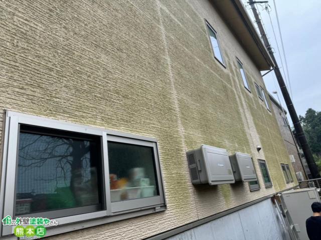 外壁のコケや藻の写真