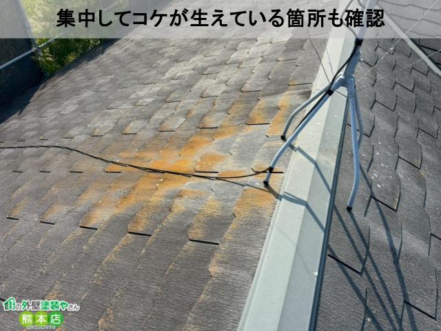 八代市スレート屋根コケ写真