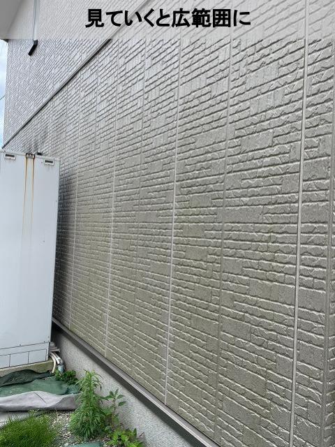 熊本市南区外壁コケ外壁緑