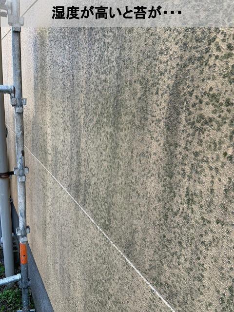菊池市リシン仕上げモルタル外壁デメリット２