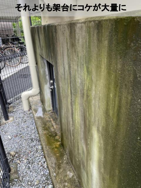 熊本市中央区マンション無料点検調査受水槽架台コケ