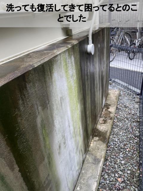熊本市中央区マンション無料点検調査受水槽架台コケ悩み